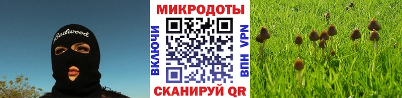 Псилоцибиновые грибы мицелий  Видное 